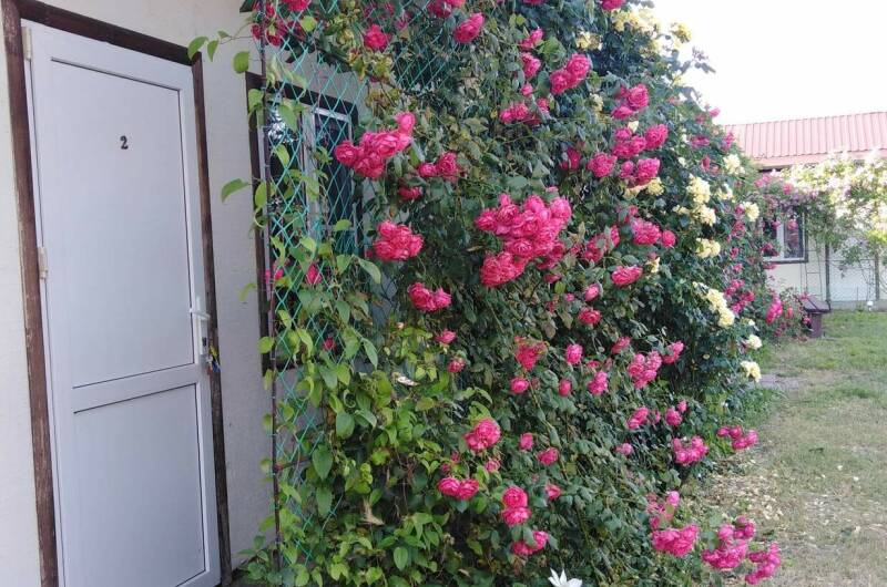 Изображение Изображение гостиницы &quot;Гостевой дом «Кучугуры»&quot; #2 #2