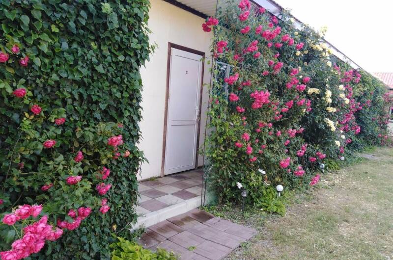 Изображение Изображение гостиницы &quot;Гостевой дом «Кучугуры»&quot; #7 #7