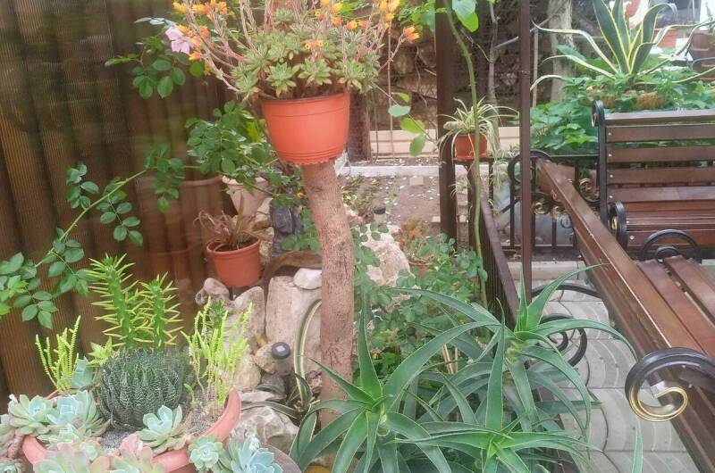 Изображение Изображение гостиницы "Гостевой дом «У Марины»" #3 #3