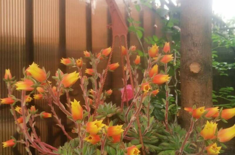 Изображение Изображение гостиницы "Гостевой дом «У Марины»" #4 #4