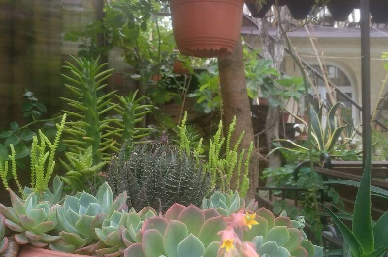 Изображение Изображение гостиницы "Гостевой дом «У Марины»" #6 #6