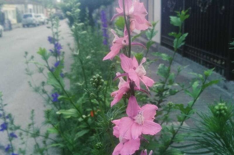 Изображение Изображение гостиницы "Гостевой дом «У Марины»" #7 #7