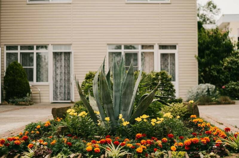 Изображение Изображение гостиницы "Гостевой дом «Лето»" #1 #1