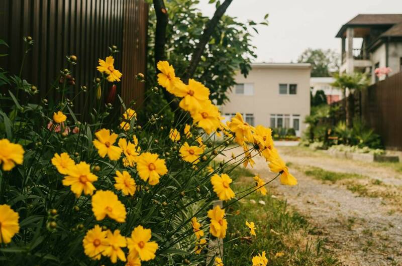 Изображение Изображение гостиницы "Гостевой дом «Лето»" #5 #5