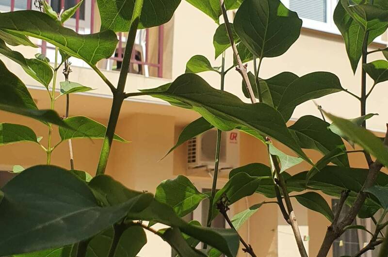 Изображение Изображение гостиницы &quot;Гостевой дом «АйРита»&quot; #6 #6