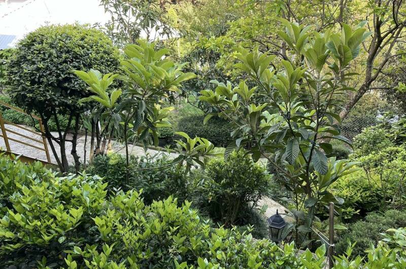 Изображение Изображение квартиры &quot;Коттедж «Агеевъ»&quot; #2 #2