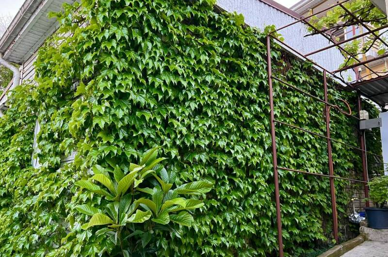 Изображение Изображение квартиры &quot;Коттедж «Агеевъ»&quot; #5 #5