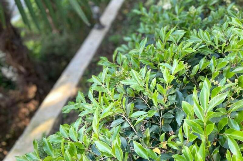 Изображение Изображение квартиры &quot;Коттедж «Агеевъ»&quot; #6 #6