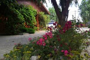 Изображение Дом под ключ «Лазурный берег» #3