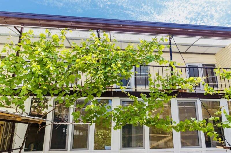 Изображение Изображение гостиницы "Частный дом «У Бориса»" #2 #2