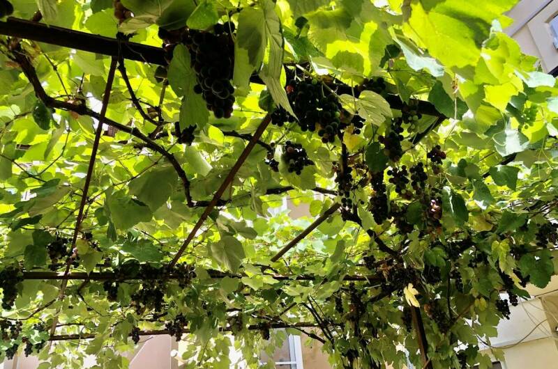 Изображение Изображение гостиницы "Частный дом «У Бориса»" #4 #4