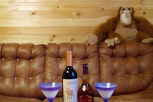 Изображение Коттедж «Морской Бриз» #4