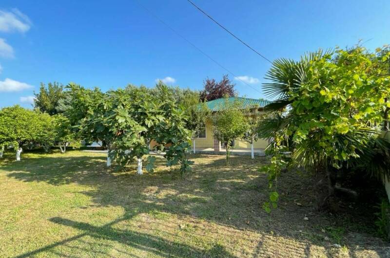 Изображение Изображение гостиницы &quot;Гостевой дом «Лаура»&quot; #7 #7