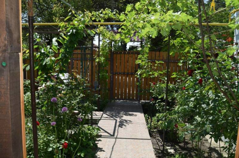 Изображение Изображение квартиры "2-х комнатный дом «под ключ»" #1 #1