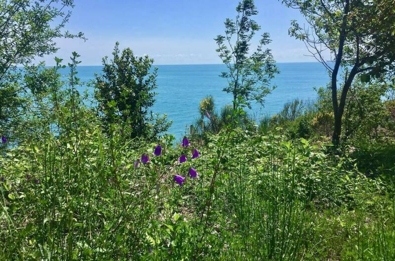 Изображение Изображение квартиры &quot;Коттедж «Калиновка»&quot; #4 #4