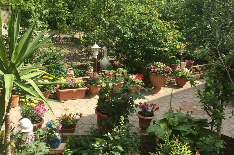 Изображение Изображение гостиницы "Гостевой дом «У Надежды»" #2 #2