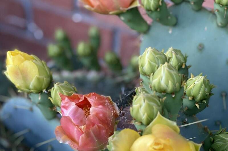 Изображение Изображение гостиницы &quot;Гостевой дом «Анна»&quot; #2 #2