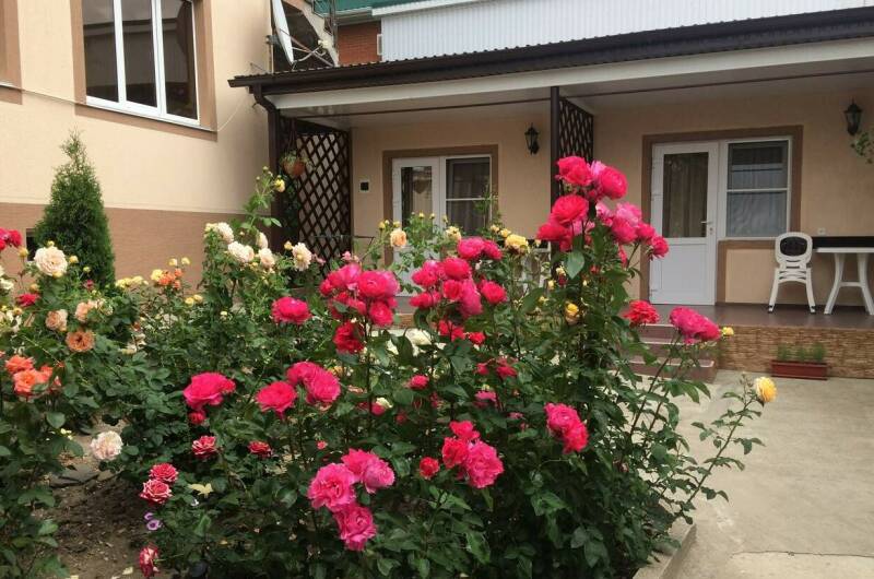 Изображение Изображение гостиницы &quot;Гостевой дом «Акварельная 4»&quot; #7 #7