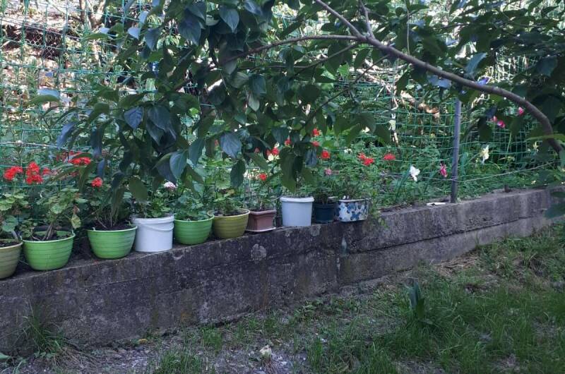 Изображение Изображение гостиницы &quot;Гостевой дом «Татьяна»&quot; #5 #5