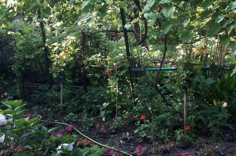 Изображение Изображение отеля / гостиницы "Гостевой дом «Татьяна»" #11 #9