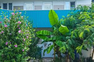 Гостевой дом «Пиламида»