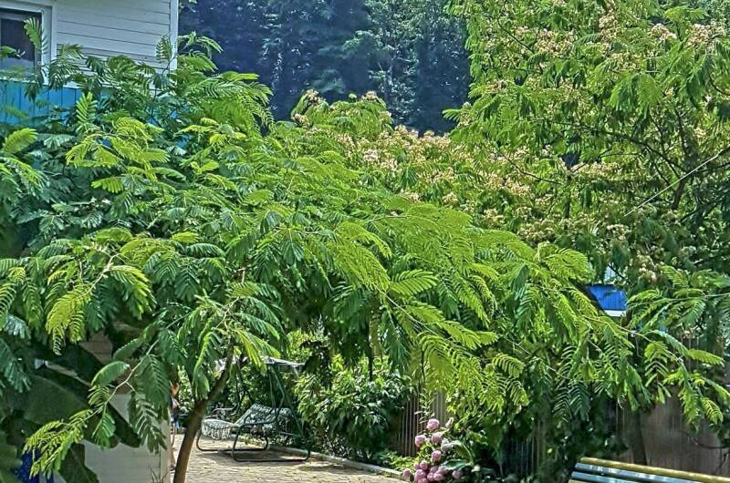 Изображение Изображение гостиницы &quot;Гостевой дом «Пиламида»&quot; #3 #3