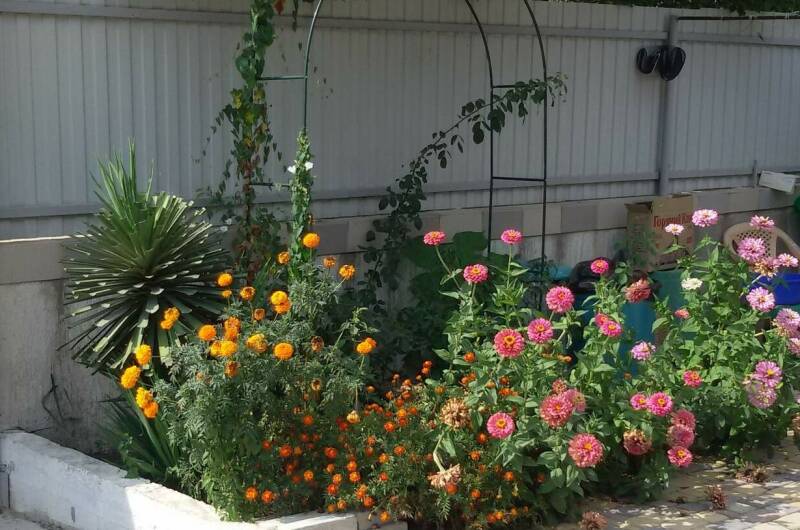 Изображение Изображение гостиницы &quot;Гостевой дом «Пиламида»&quot; #6 #6