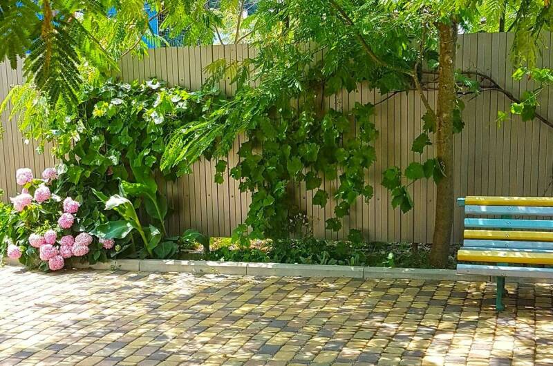 Изображение Изображение гостиницы &quot;Гостевой дом «Пиламида»&quot; #8 #8