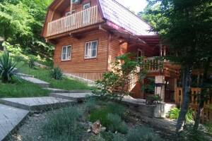 Изображение Бетты #1