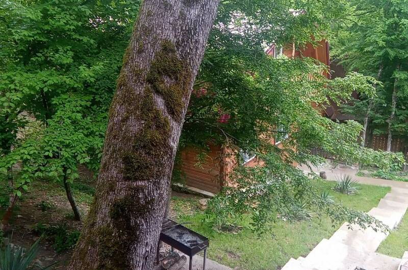 Изображение Изображение гостиницы &quot;Гостевой дом «Betta-village»&quot; #3 #3