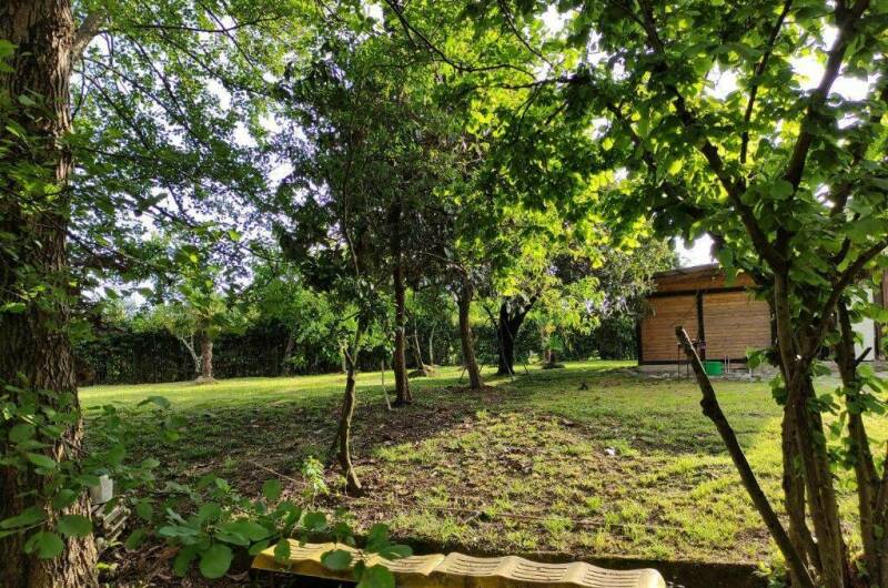 Изображение Изображение гостиницы "Гостевой дом «В гостях у Майи»" #5 #5