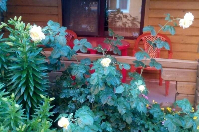 Изображение Изображение гостиницы &quot;Гостевой дом «Ямал»&quot; #5 #5