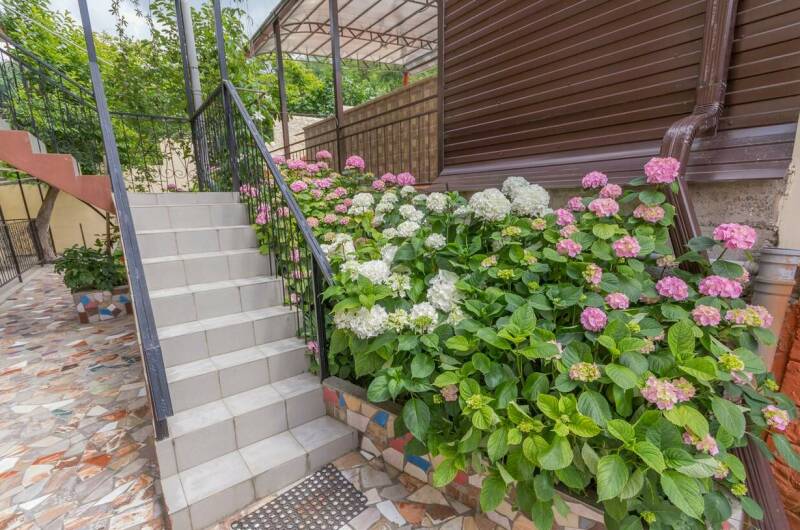 Изображение Изображение гостиницы &quot;Частный сектор «Горная фиалка»&quot; #3 #3