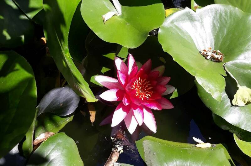 Изображение Изображение отеля / гостиницы "Гостевой дом «Дом Солнца»" #10 #8