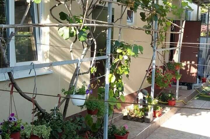 Изображение Изображение отеля / гостиницы "Частный сектор «У Георгия»" #10 #8