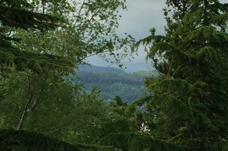 Изображение Изображение гостиницы &quot;Гостевой дом «Ланета»&quot; #7 #7