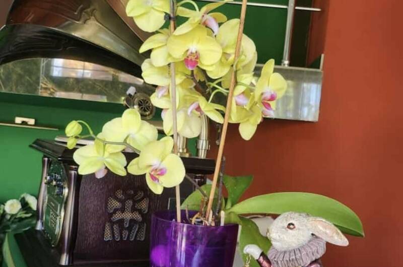 Изображение Изображение гостиницы &quot;Гостевой дом «Ланета»&quot; #8 #8