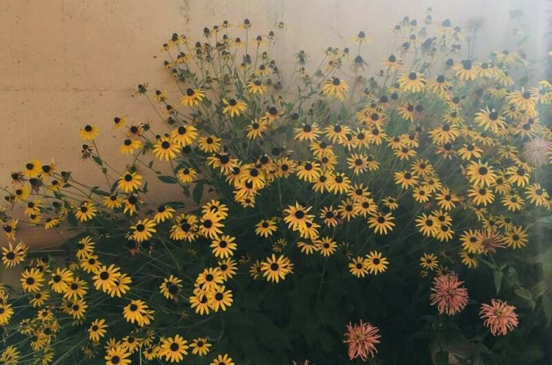 Изображение Изображение гостиницы &quot;Гостевой дом «Виолетта»&quot; #8 #8