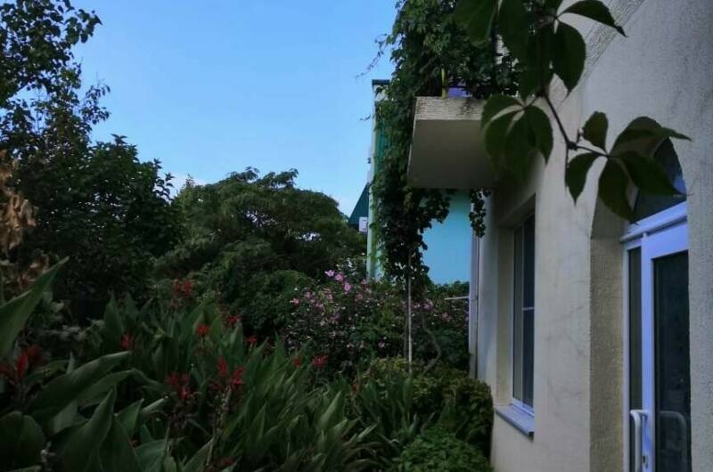 Изображение Изображение отеля / гостиницы "Частный дом на ул. Революционной, 136 (У Ларисы)" #10 #8