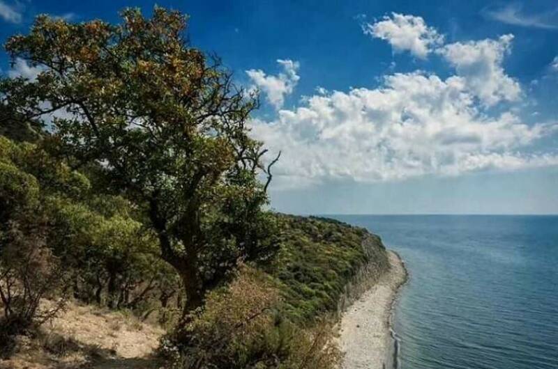 Изображение Изображение отеля / гостиницы "Гостевой дом «Аркада»" #11 #9