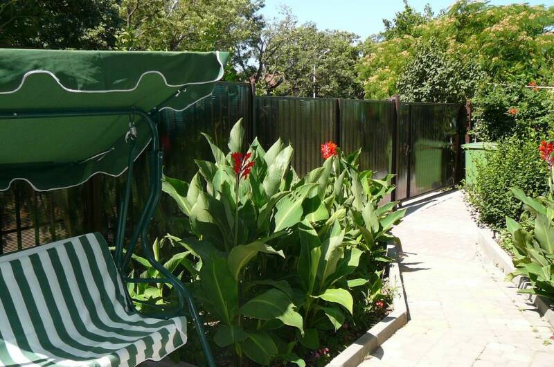 Изображение Изображение отеля / гостиницы "Частный дом на Революционной 136/1 (У Олеси)" #11 #9