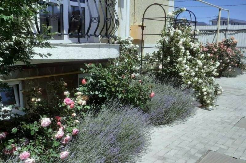 Изображение Изображение гостиницы &quot;Гостевой дом «Светлана»&quot; #2 #2