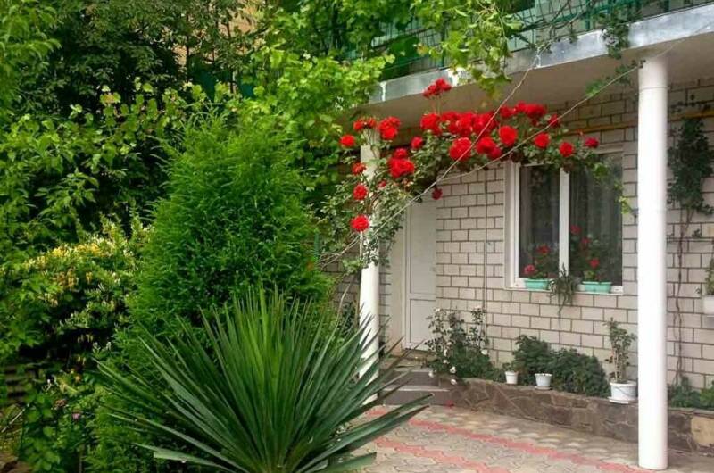 Изображение Изображение гостиницы &quot;Гостевой дом «Анапалис»&quot; #7 #7