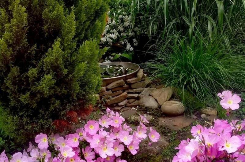 Изображение Изображение гостиницы "Гостевой дом «Александрия»" #3 #3