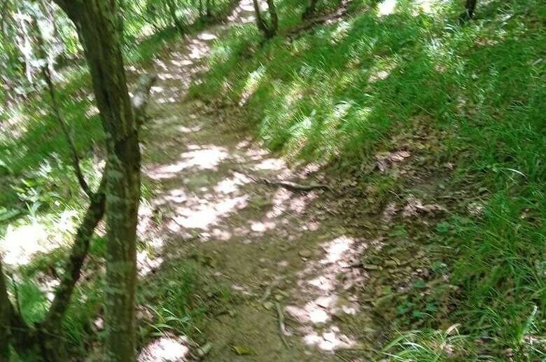 Изображение Изображение гостиницы "Гостевой дом «Александрия»" #5 #5