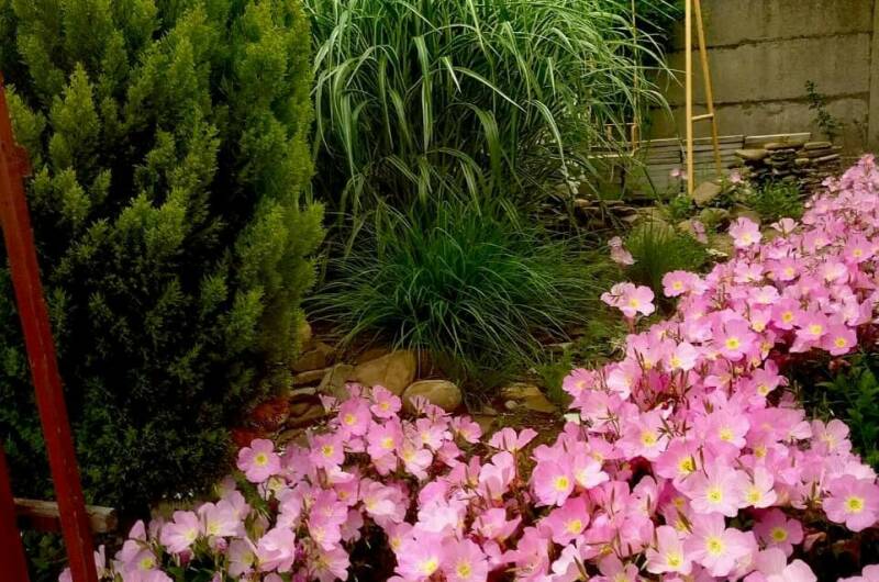 Изображение Изображение гостиницы "Гостевой дом «Александрия»" #7 #7