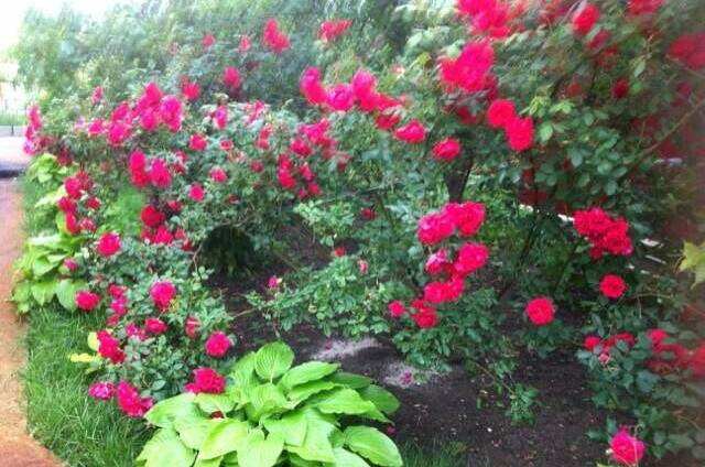 Изображение Изображение гостиницы "Гостевой дом «Александрия»" #8 #8