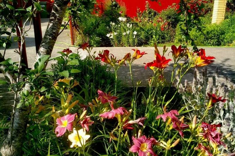 Изображение Изображение отеля / гостиницы "Гостевой дом «Александрия»" #10 #8