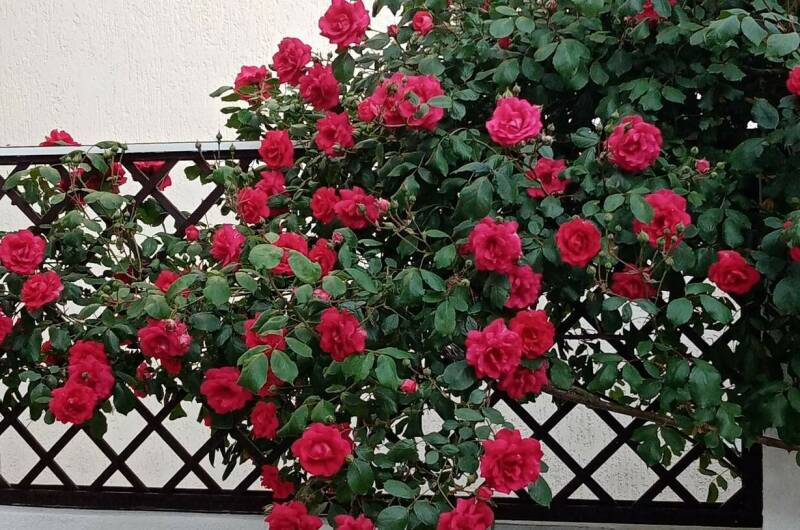 Изображение Изображение отеля / гостиницы "Частный дом «Акварель»" #10 #8