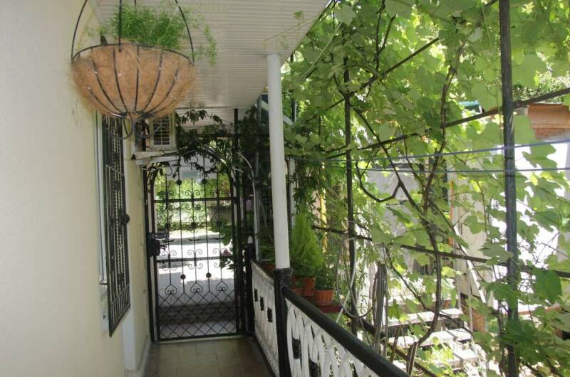 Изображение Изображение гостиницы &quot;Гостевой дом «Алена»&quot; #2 #2